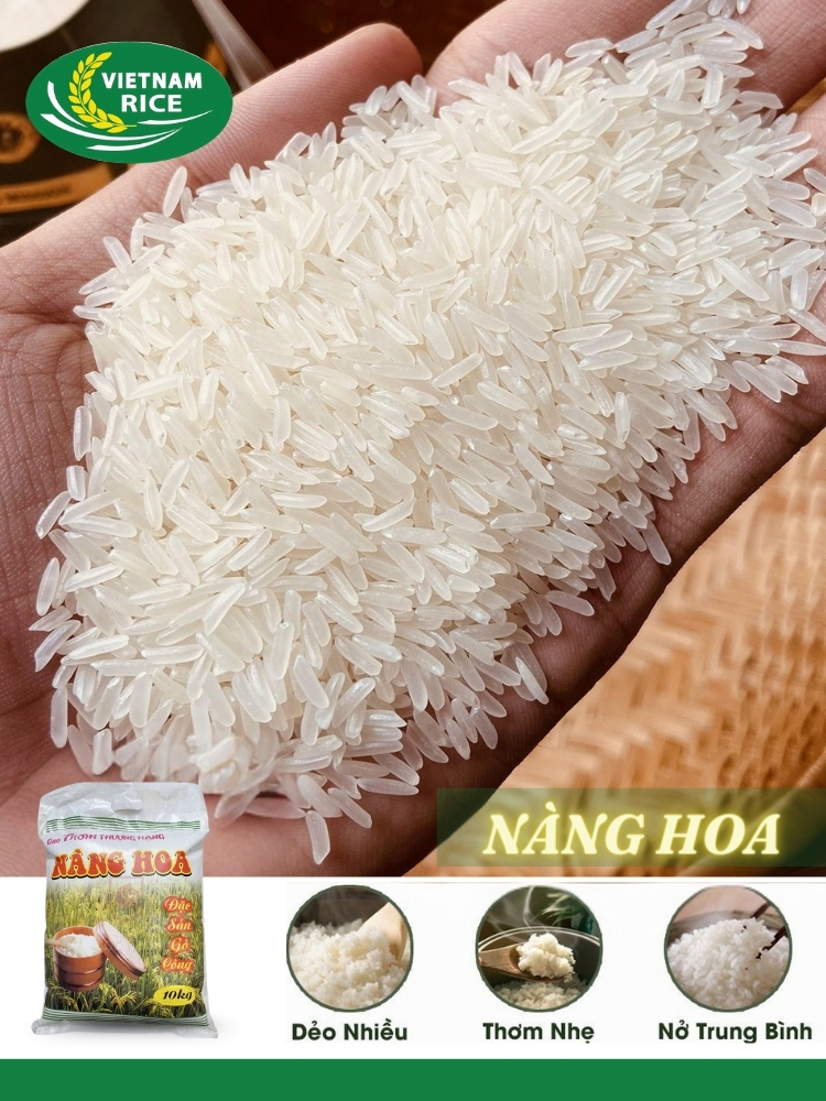 GẠO NÀNG HOA 5KG GIÁ RẺ GIAO NHANH TRONG NGÀY